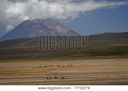 Canhauas de la Pampa y El volcán Misti