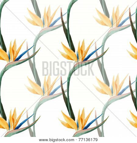 Tropic pattern
