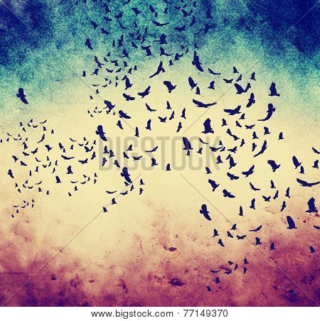 image from old paper and clouds texture series with birds added toned with a retro vintage instagram filter effect