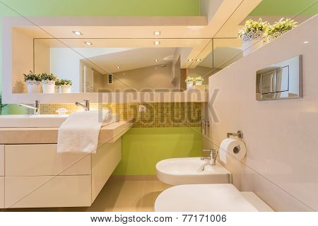 Modern Bathroom With Green Painted Wall