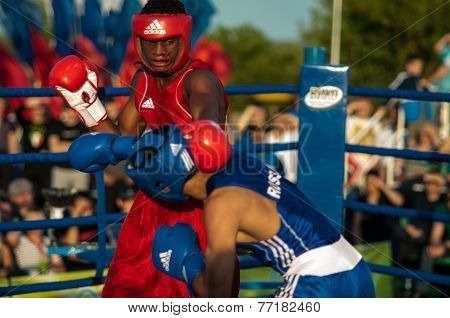 Fight Boxers