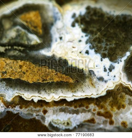 Gem Stone Agate