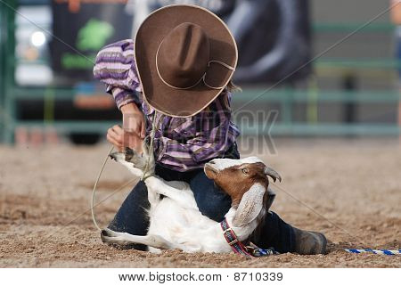 Young Goat Roper Image & Photo (Free Trial) | Bigstock