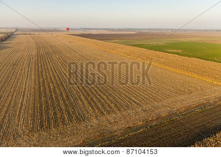 Landscape With Hot Air Balloons