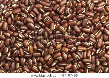 Close Up Red Beans