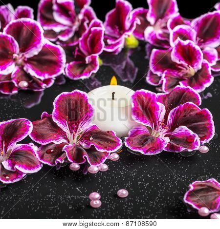 Beautiful Spa Concept Of Blooming Dark Purple Geranium Flower, Beads And Candles In Reflection Water