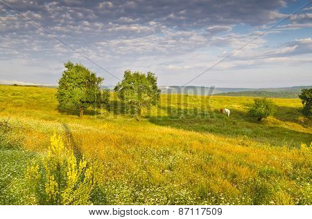 Sunny Blue Sky, Meadow And A Hills Near The Sinemorets