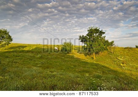 Sunny Blue Sky, Meadow And A Hills Near The Sinemorets