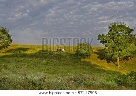 Sunny Blue Sky, Meadow And A Hills Near The Sinemorets
