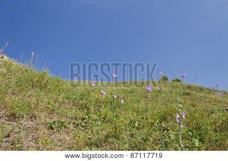 Sunny Blue Sky, Meadow And A Hills Near The Sinemorets