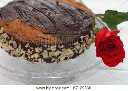 Happy Birthday, Daughter!