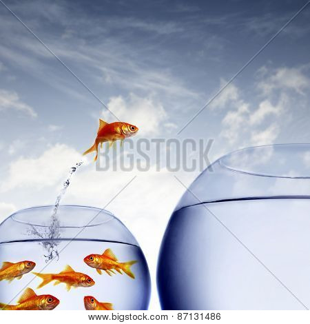goldfish jumping out of the water from a crowded bowl 