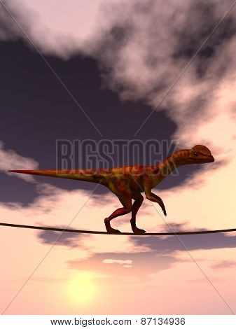 Concept or conceptual abstract business metaphor as wild heavy dinosaurus balancing on rope over sunset sky background