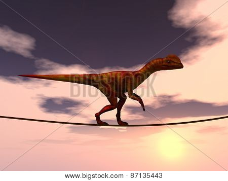 Concept or conceptual abstract business metaphor as wild heavy dinosaurus balancing on rope over sunset sky background