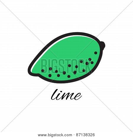 Hand drawn lime in doodle style. Vector illustration.