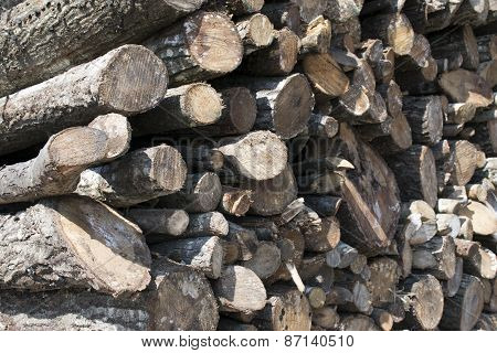 Woodpile