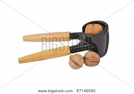 Nutcracker and nut