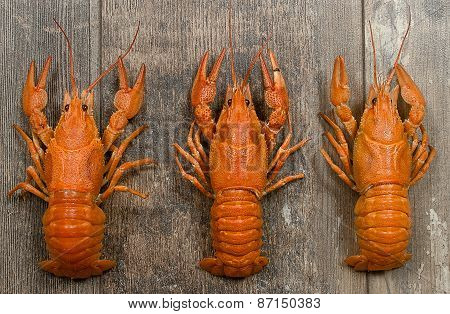 Three Red Crayfishes In A Row On Old Wooden Table Close-up