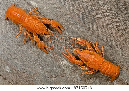 Two Red Crayfishes Wrestling On Old Wooden Table