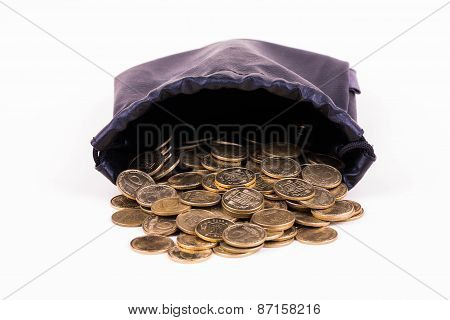 Bag Of Coins