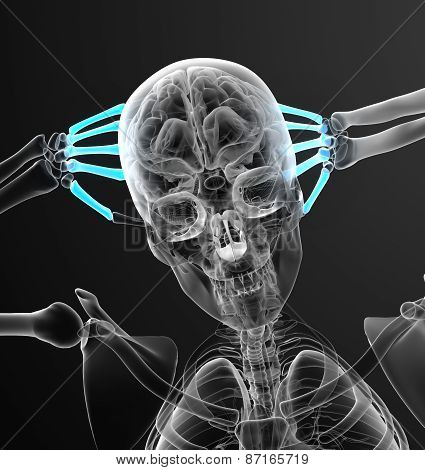 3D Render Medical Illustration Of The Metacarpal Bone