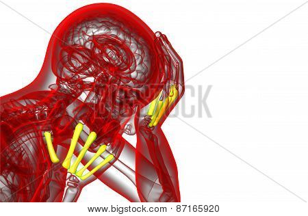 3D Render Medical Illustration Of The Metacarpal Bone