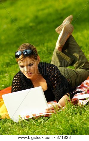 Travl Picnic