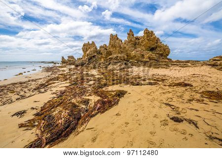 Anglesea Victoria