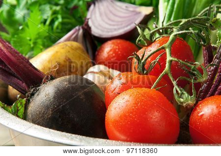 Young Vegetables