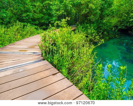 Wooden Pathway In Flooded Rain Forest Jungle
