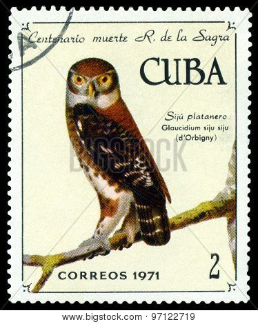Vintage  Postage Stamp.  Cuban Pygmy Owl.