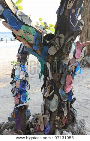 Flip Flops Hung On A Tree
