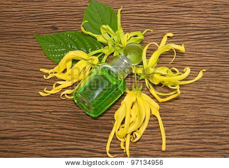 Essential Oil With Dwarf Ylang-ylang Flower