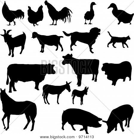 set di animali da fattoria - vector