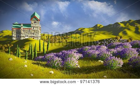 Lavender fields 