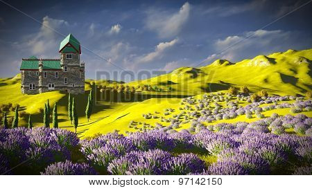 Lavender fields 