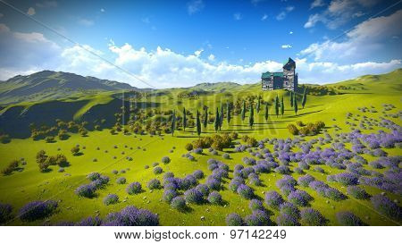 Lavender fields 