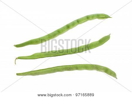 yardlong bean