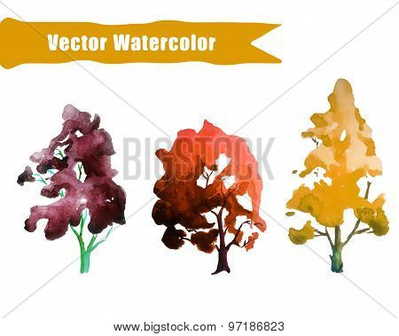 My Colors