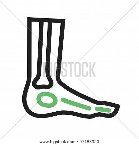 Foot X-ray