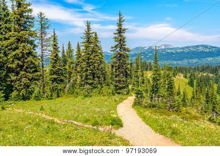 Beautiful Mountain Trail. Blackwall Peak Trail at Manning Park in British Columbia. Canada.