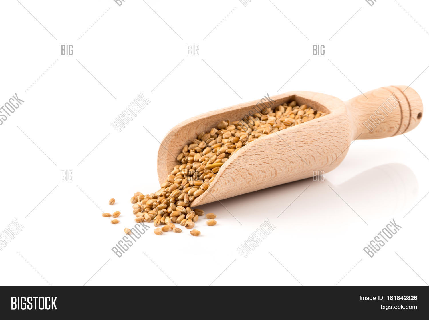 Wheat Grain Scoop Image & Photo (Free Trial) Bigstock