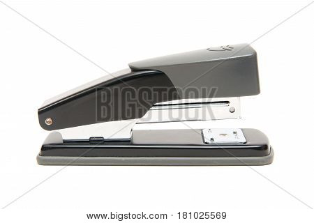 Stapler Isolate On A White Background