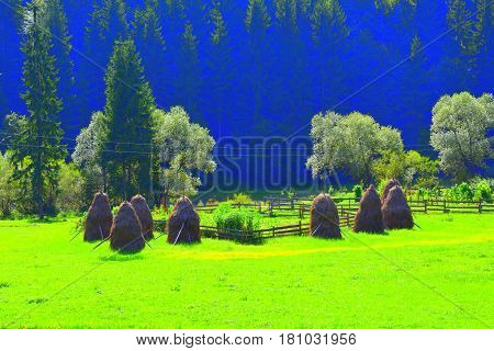 Landscape in Apuseni Mountains, Transylvania. The Apuseni Mountains is a mountain range in Transylvania, Romania, which belongs to the Western Romanian Carpathians, also called Occidentali in Romanian. The Apuseni Mountains have about 400 caves.