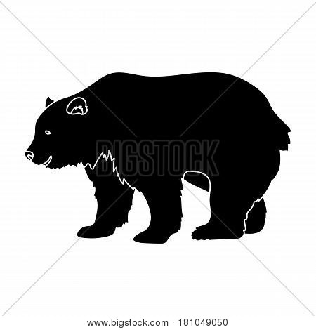 Canadian brown bear. Canada single icon in black style vector symbol stock illustration .