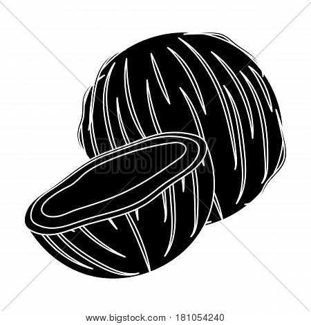 Coconat.Different kinds of nuts single icon in black style vector symbol stock web illustration.