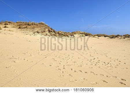 Footprints On The Sand Dunes
