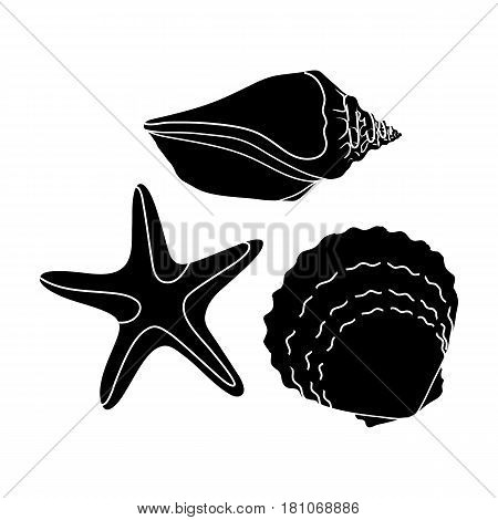Seashells from the bottom of the sea.Summer rest single icon in black style vector symbol stock web illustration.