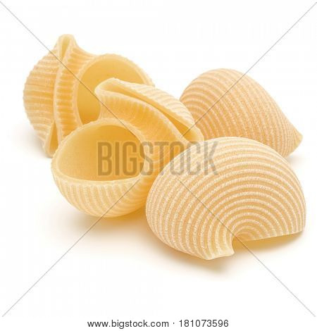 Italian lumaconi isolated on white background. Lumache, snailshell shaped pasta.