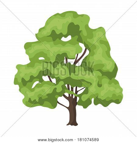 Canadian maple. Canada single icon in cartoon style vector symbol stock illustration .